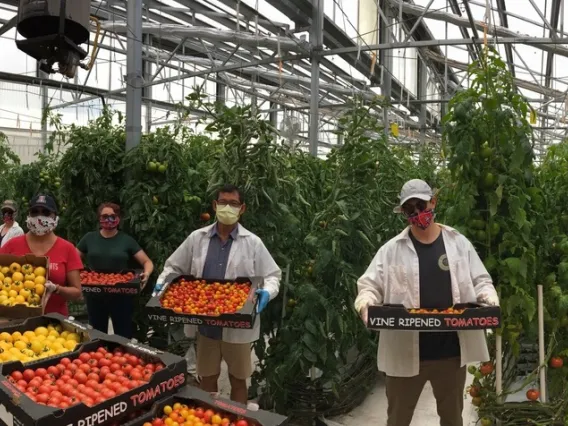 CEAC members holding produce in a greenhouse