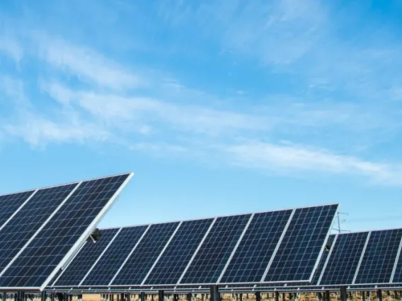 Solar panels with a mostly clear blue sky overhead