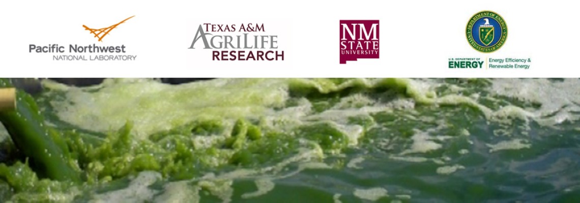 Water turned green by algae with embedded logos for each related institution above
