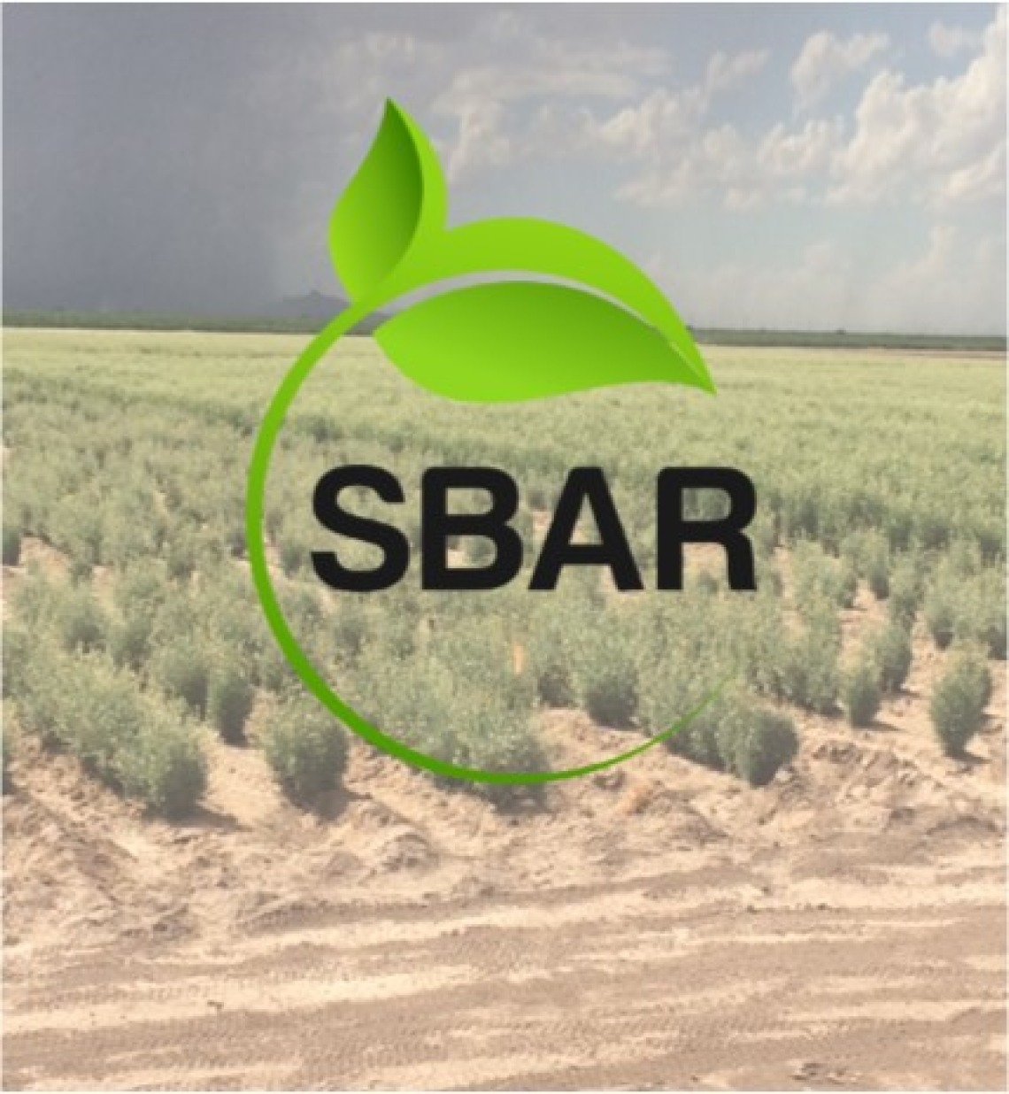 SBAR Logo