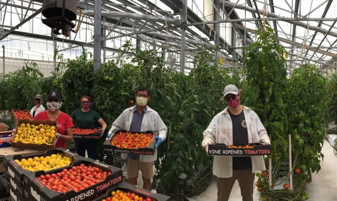 CEAC members holding produce in a greenhouse