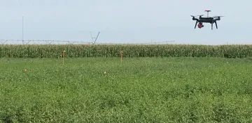 Drone floating above crops in a field