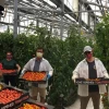 CEAC members holding produce in a greenhouse